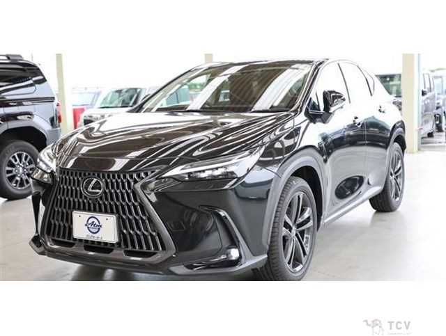 2022 Lexus NX