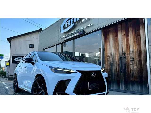 2022 Lexus NX