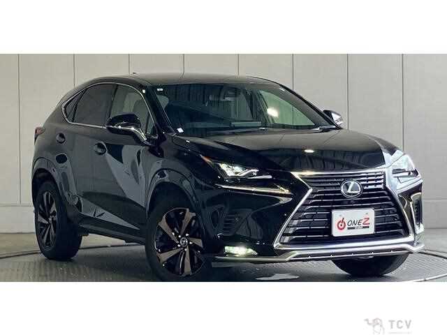 2021 Lexus NX