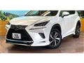 2021 Lexus NX