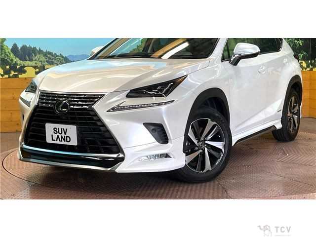 2021 Lexus NX