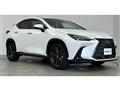 2021 Lexus NX