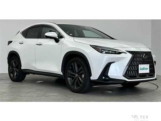 2021 Lexus NX