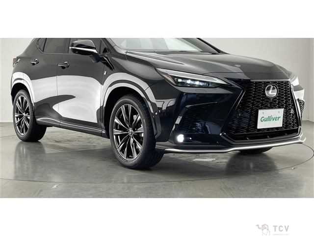 2021 Lexus NX