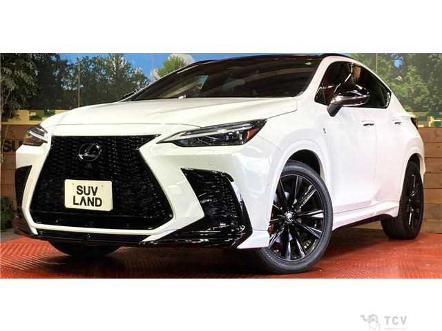 2021 Lexus NX