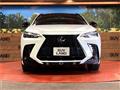 2021 Lexus NX