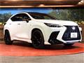 2021 Lexus NX