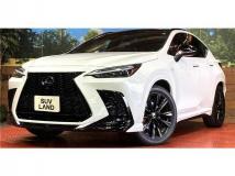 2021 Lexus NX