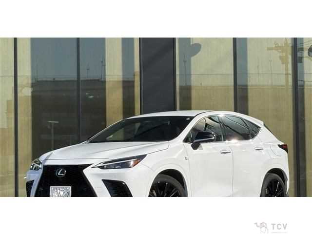 2021 Lexus NX