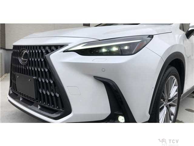 2021 Lexus NX