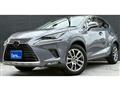 2020 Lexus NX