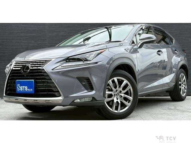 2020 Lexus NX