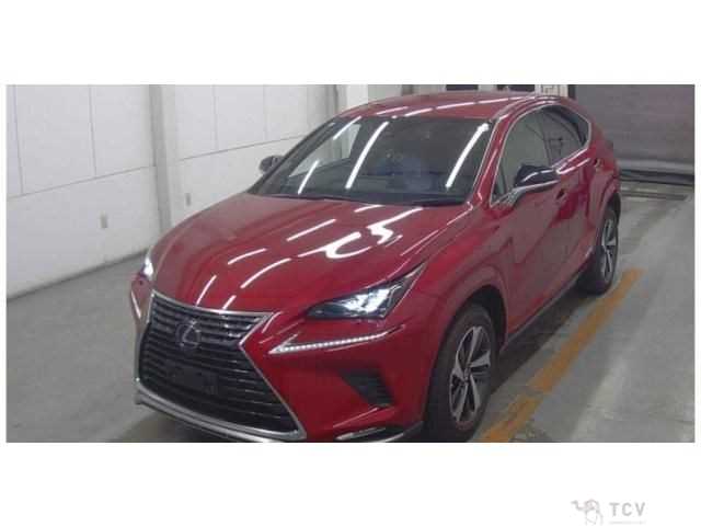 2020 Lexus NX