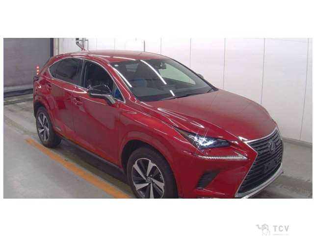 2020 Lexus NX