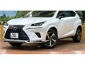 2020 Lexus NX