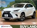 2020 Lexus NX