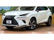 2020 Lexus NX