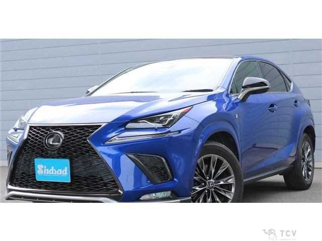 2020 Lexus NX