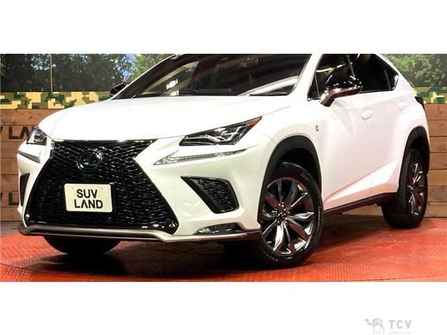 2020 Lexus NX