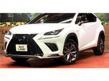 2020 Lexus NX