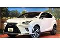 2020 Lexus NX
