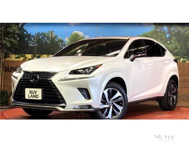 2020 Lexus NX