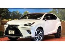 2020 Lexus NX