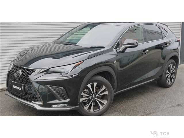 2020 Lexus NX