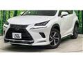 2020 Lexus NX