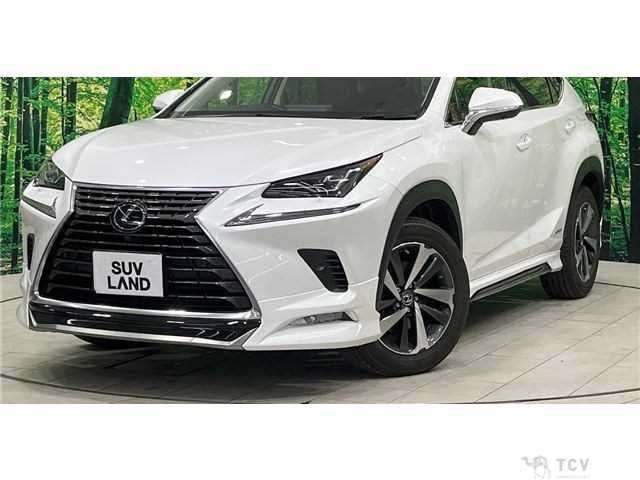 2020 Lexus NX