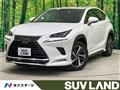 2020 Lexus NX