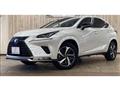 2020 Lexus NX