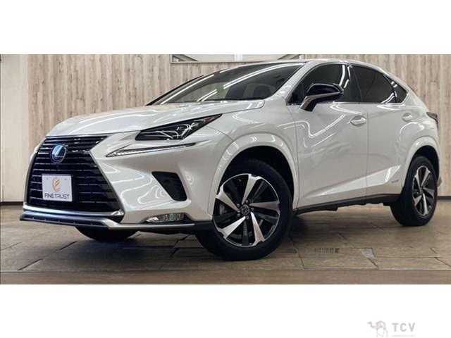 2020 Lexus NX