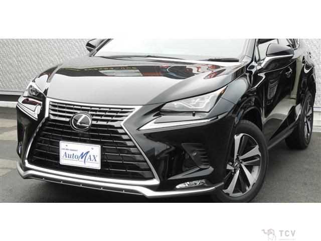 2020 Lexus NX