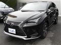2020 Lexus NX