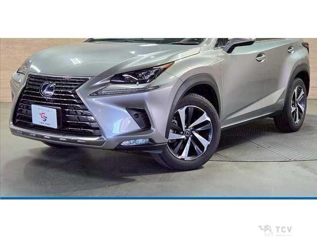 2020 Lexus NX