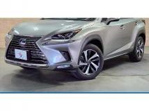 2020 Lexus NX