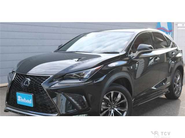2020 Lexus NX