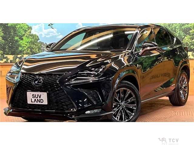 2020 Lexus NX