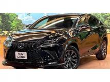 2020 Lexus NX