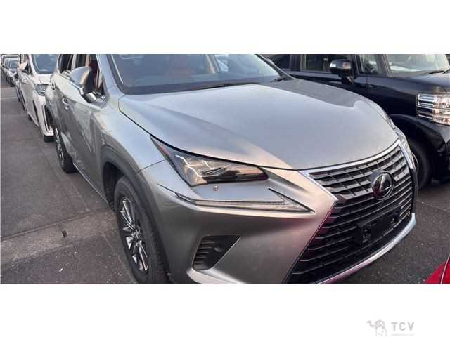 2019 Lexus NX