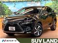 2019 Lexus NX