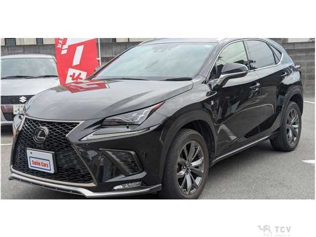 2019 Lexus NX