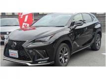 2019 Lexus NX