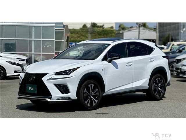 2019 Lexus NX