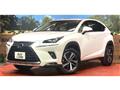 2019 Lexus NX