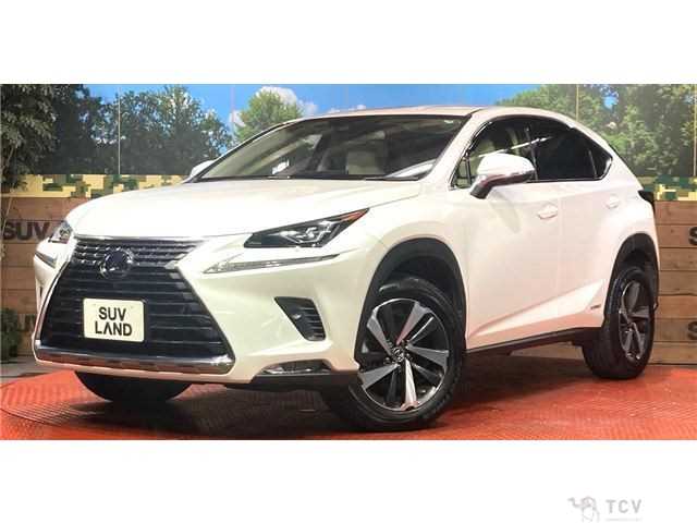 2019 Lexus NX
