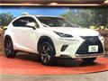 2019 Lexus NX