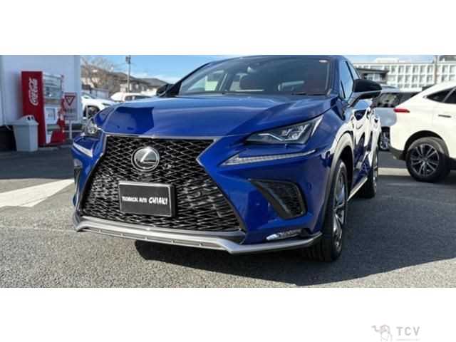 2019 Lexus NX