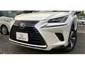 2019 Lexus NX